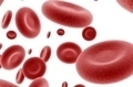 Красные кровяные тельца в крови норма thumbnail