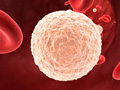 Нормы анализа крови если повышены лейкоциты thumbnail