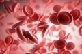 Содержание холестерина в сыворотке крови норма thumbnail