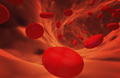 Клетки крови эритроциты норма thumbnail