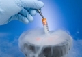 Криоконсервация спермы, эмбрионов и яйцеклеток